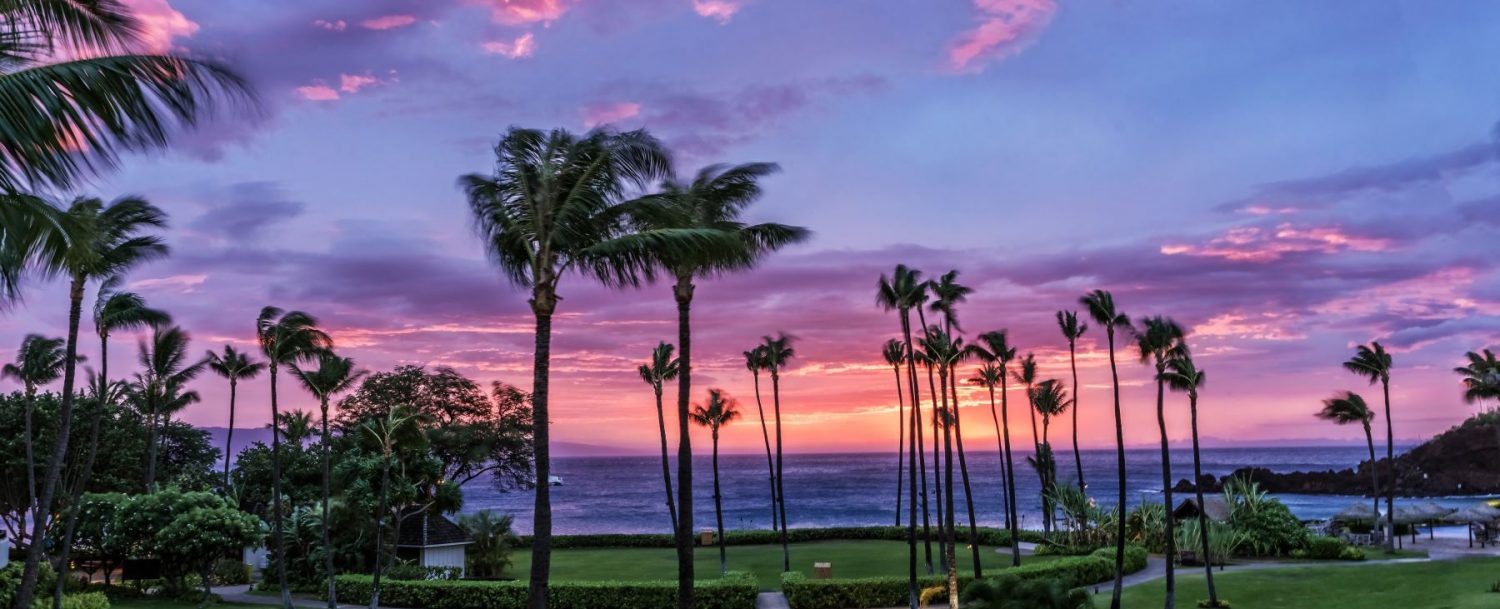 Testament Real Estate Maui and their happiness with transitioning