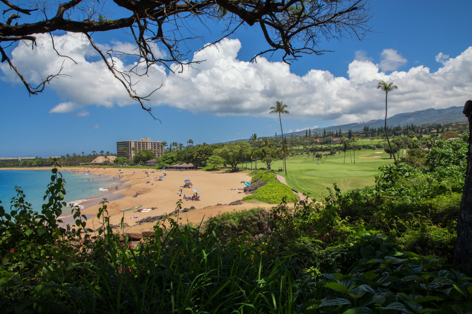 Kaanapali Events and Happenings Living Maui Real Estate