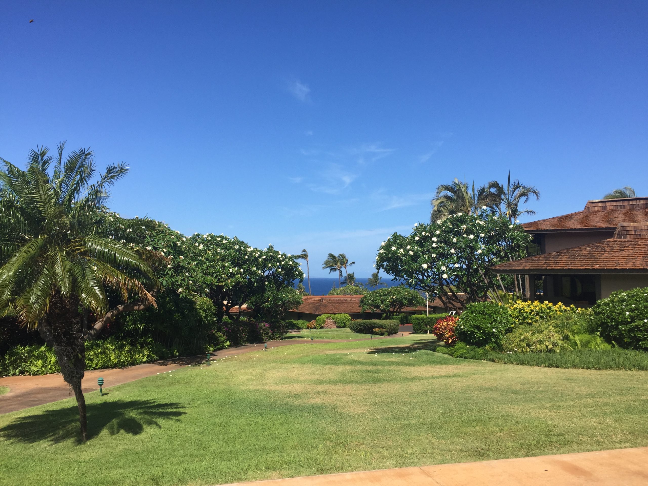 Tropical Hawaiian, Kaanapali Plantation