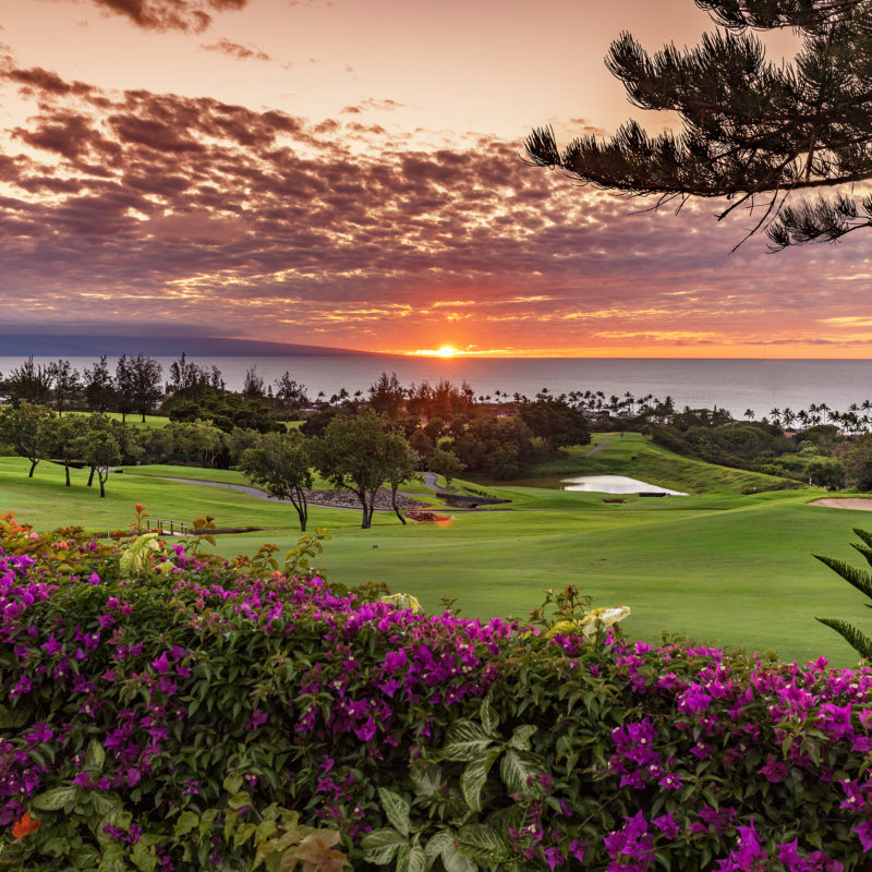 Kapalua Ridge