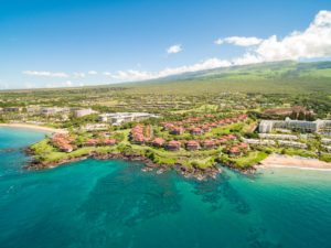 Wailea Point