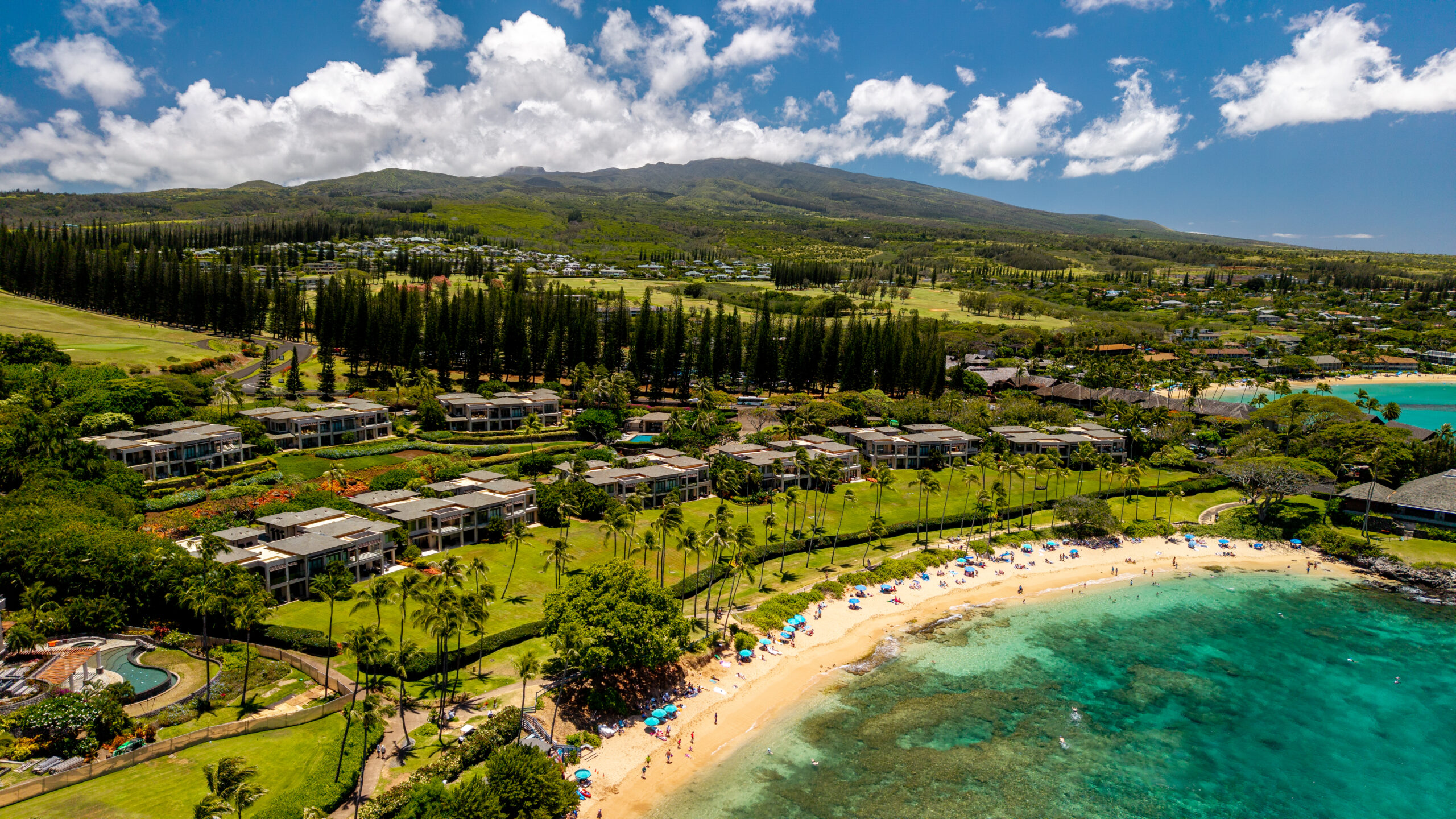 Coconut Grove Kapalua Maui Private Residences Coconut Grove Kapalua Maui Private Residences