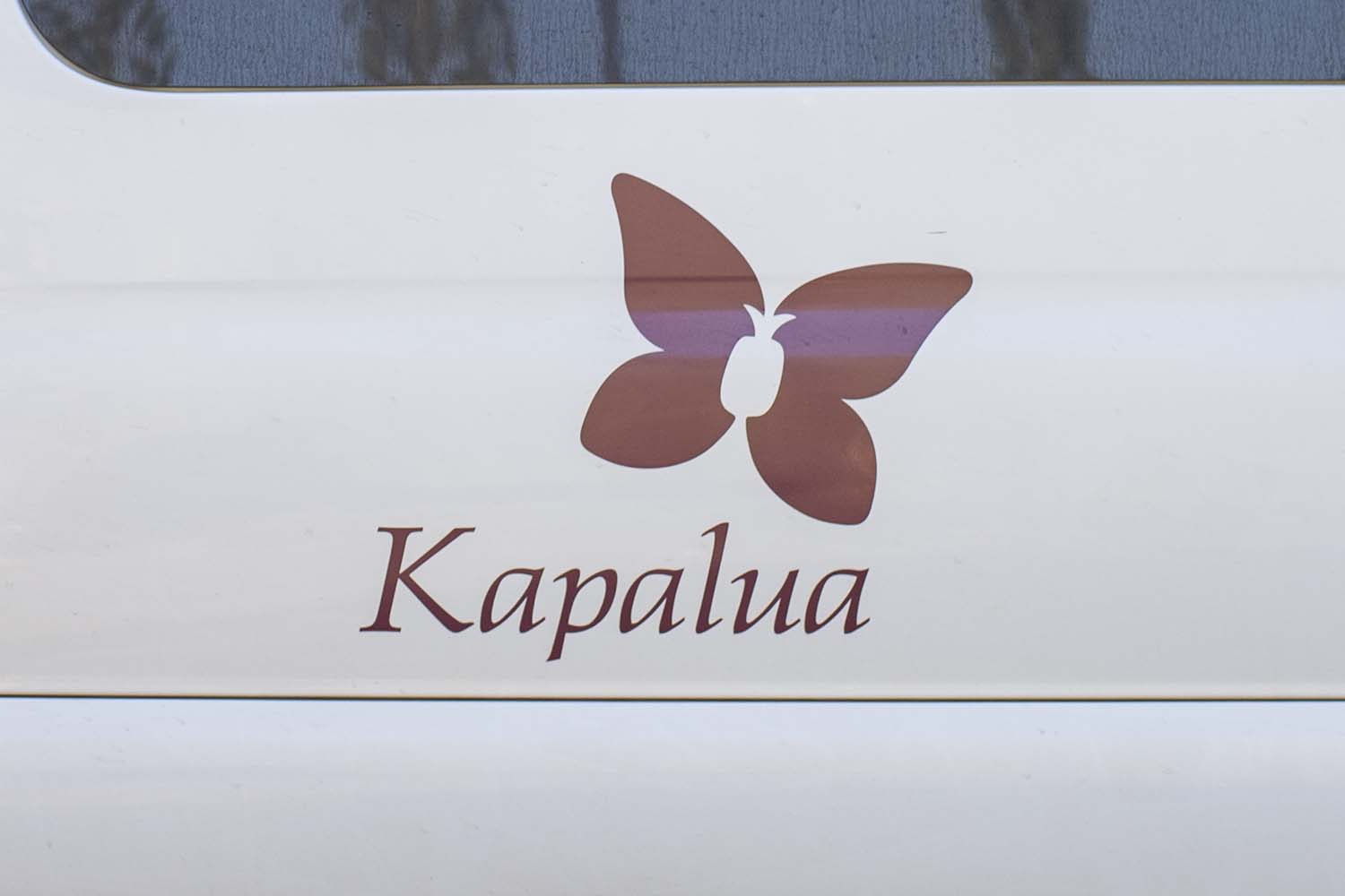 Kapalua Butterfly on the Kapalua Shuttle