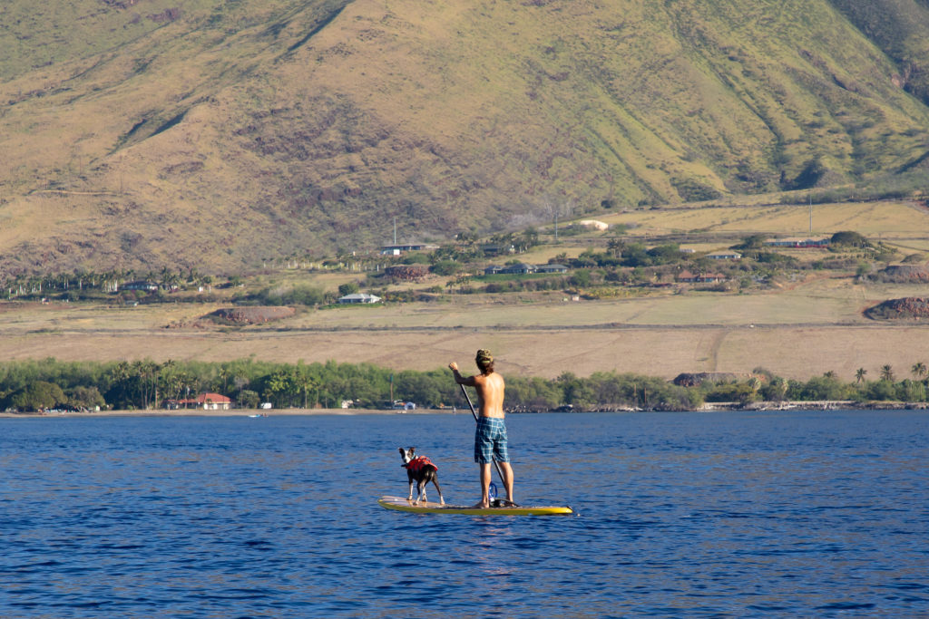 olowalu climate maui