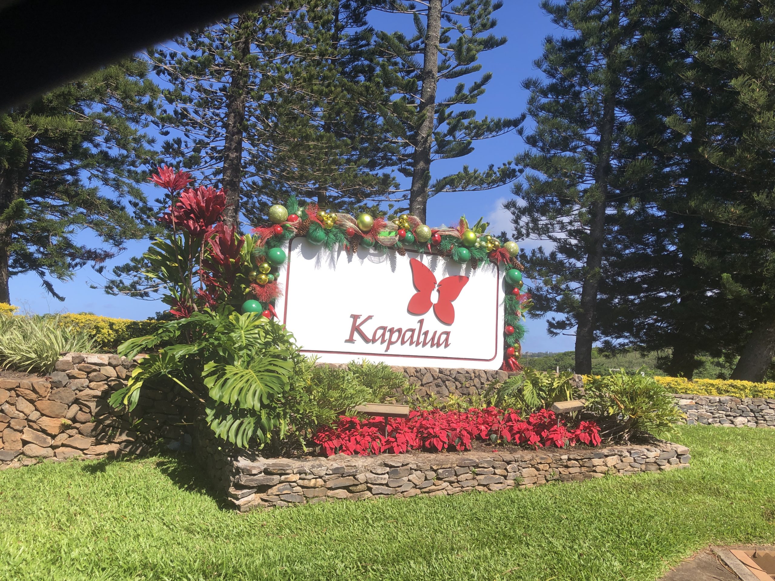 Welcome to Kapalua