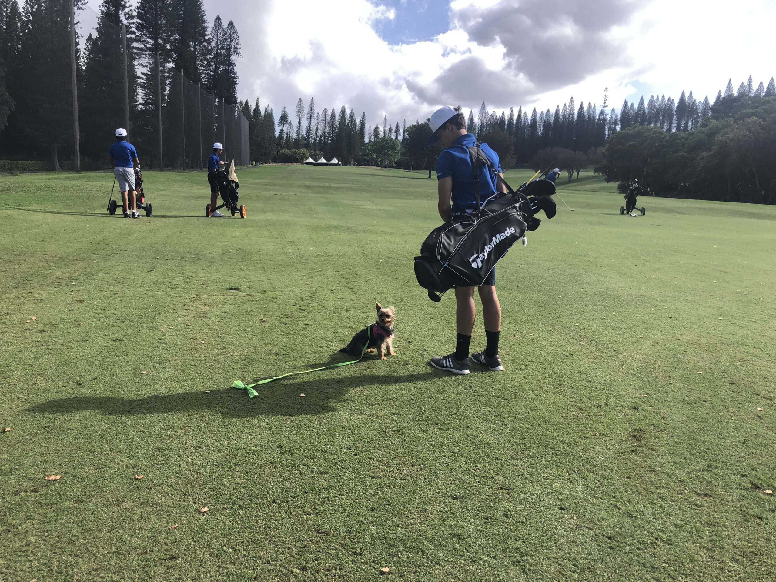 Golf Kapalua Bay Course Maui