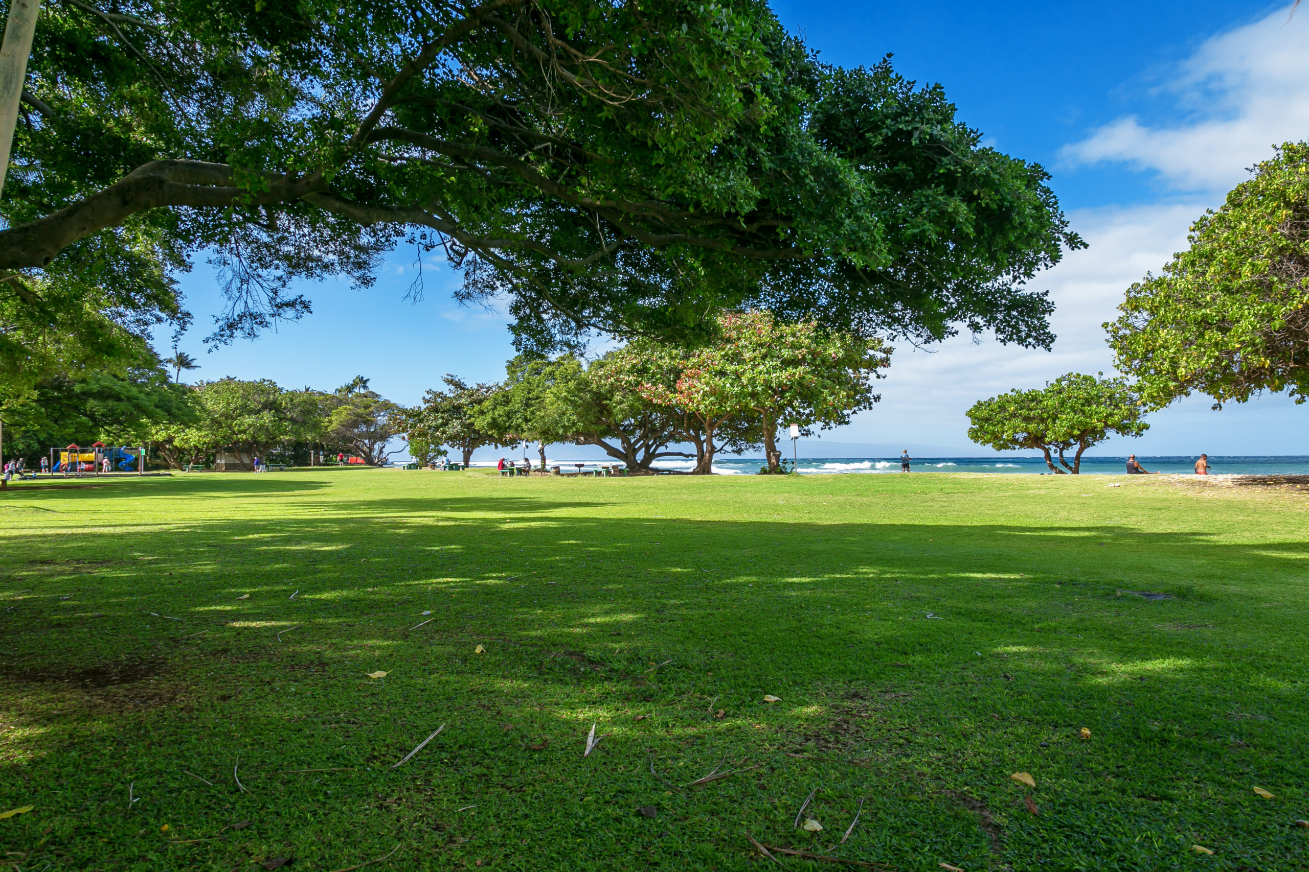 Grass Park view at Honokowai Beach Park