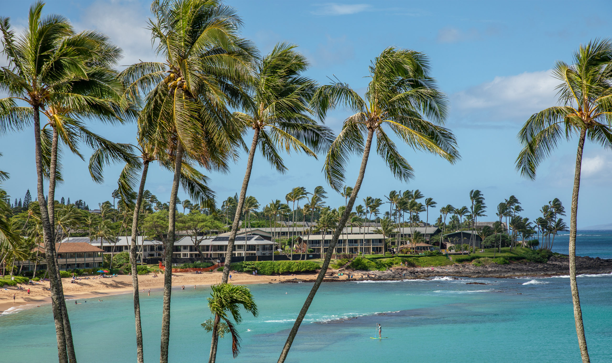 Palm trees and turquoise waters at Napili Bay in the Napili Honokowai Kahana Community