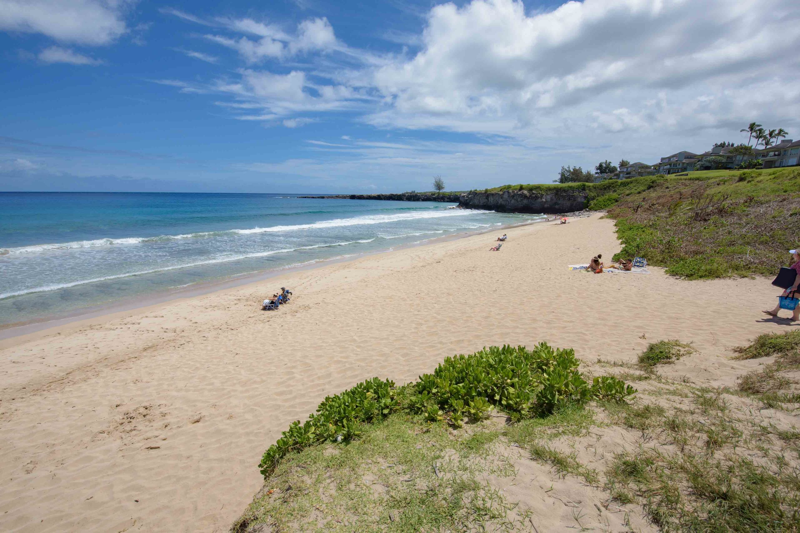 North View at Oneloa Beach or Ironwoods Beach