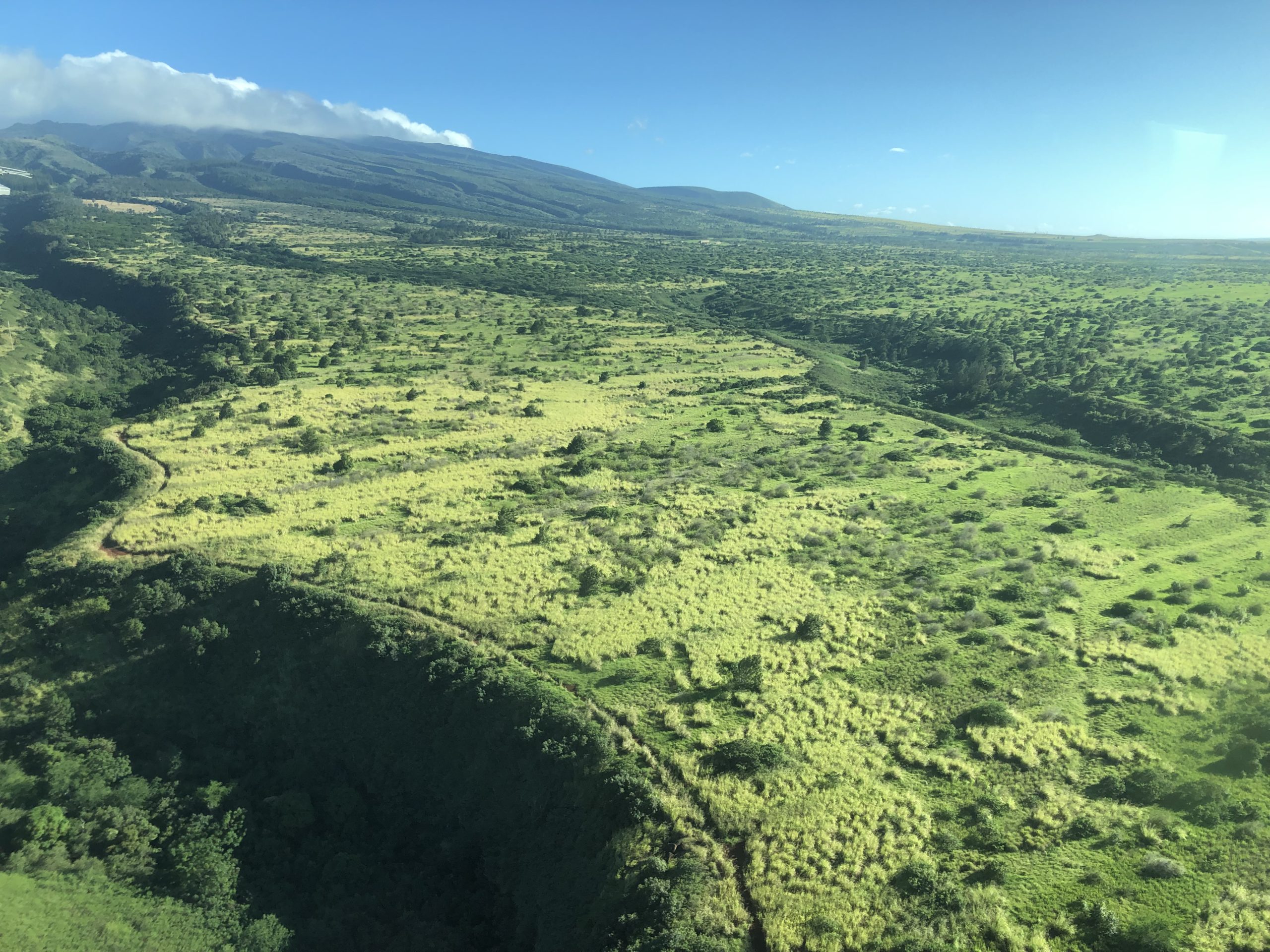 Lush West Maui Mountains