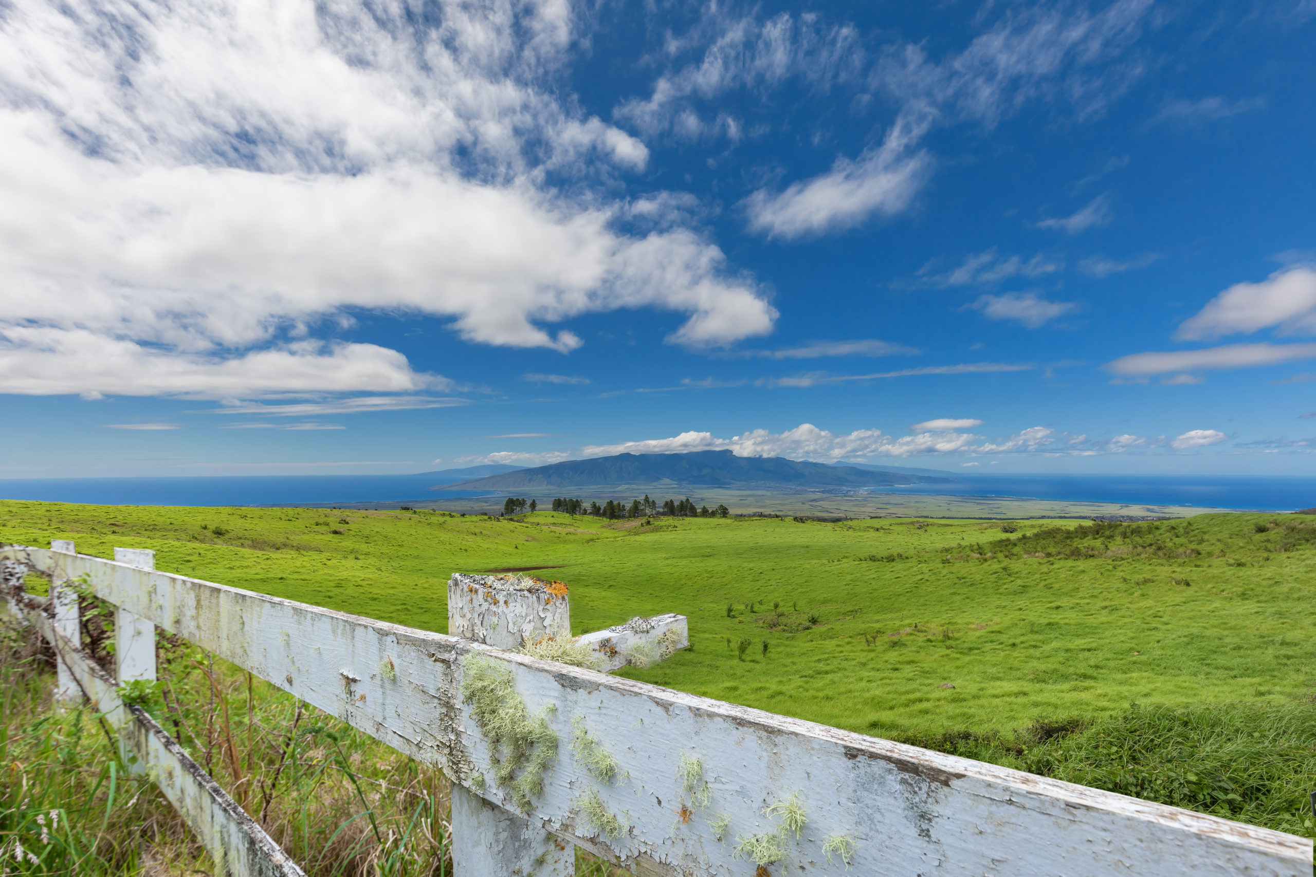 Country Fields Maui