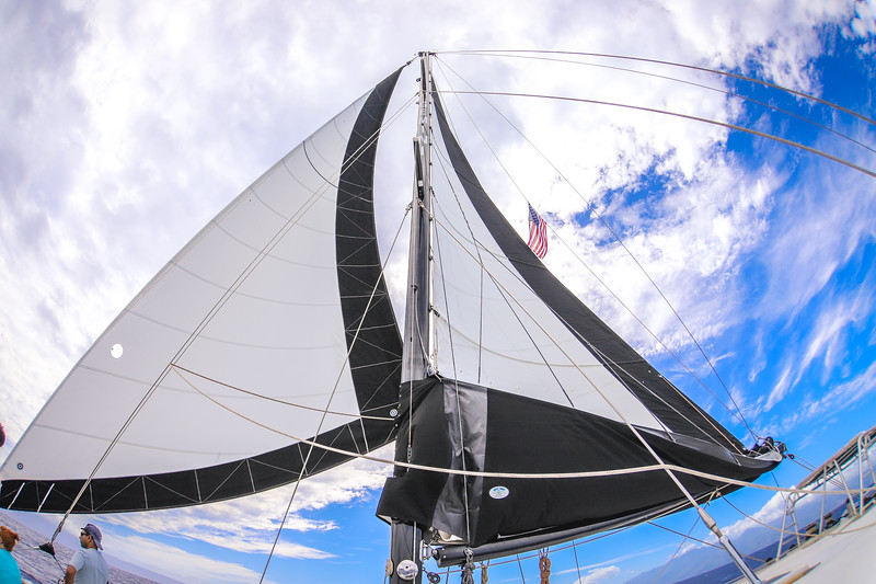 The Ultimate West Maui Sailing Adventure, Gemini Sails
