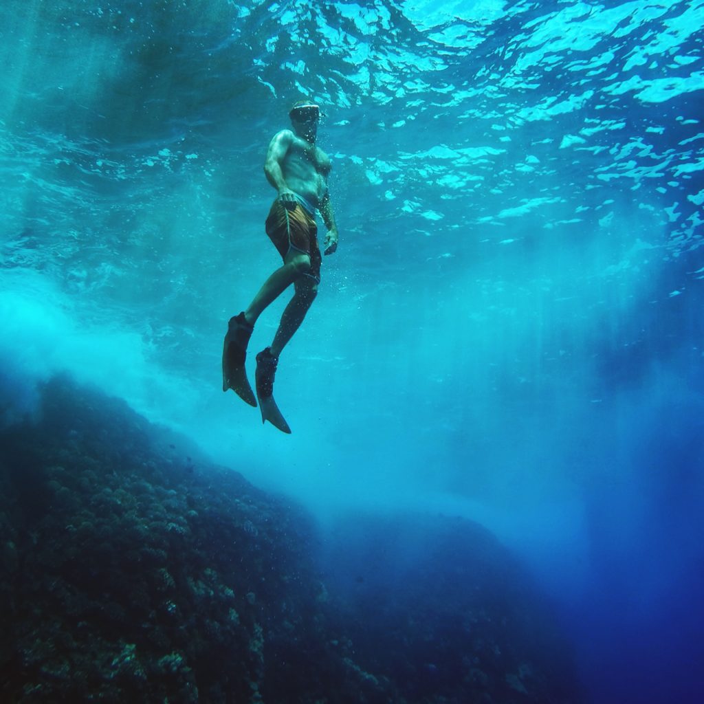 Adventure Seeking on Sail Maui