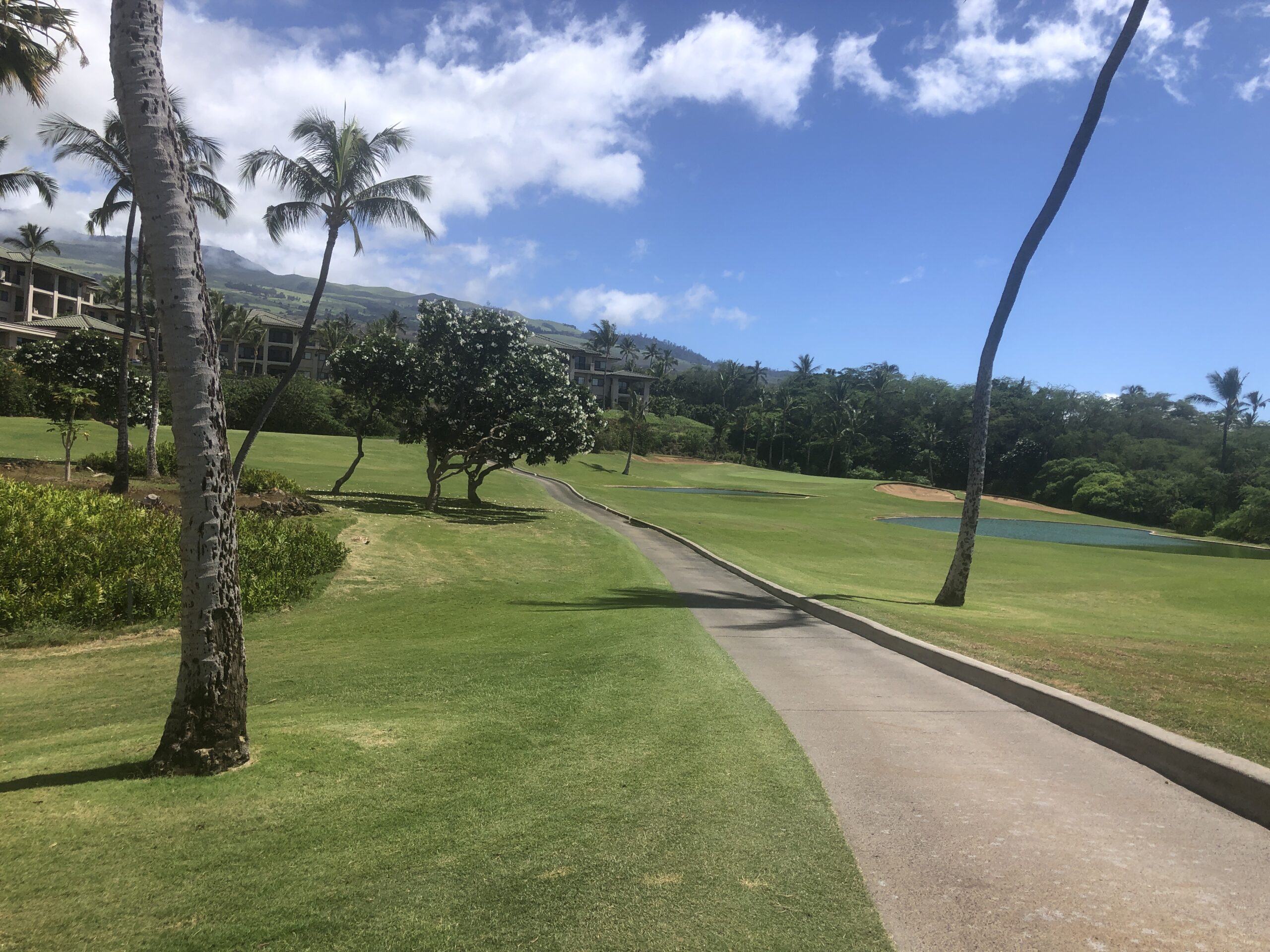 Kapalua Lahaina Junior Golf