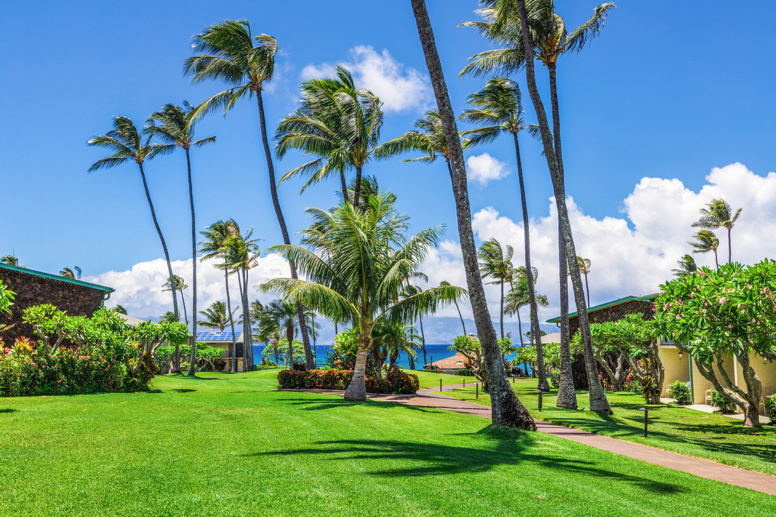 Exterior grounds & Resort at Napili Shores