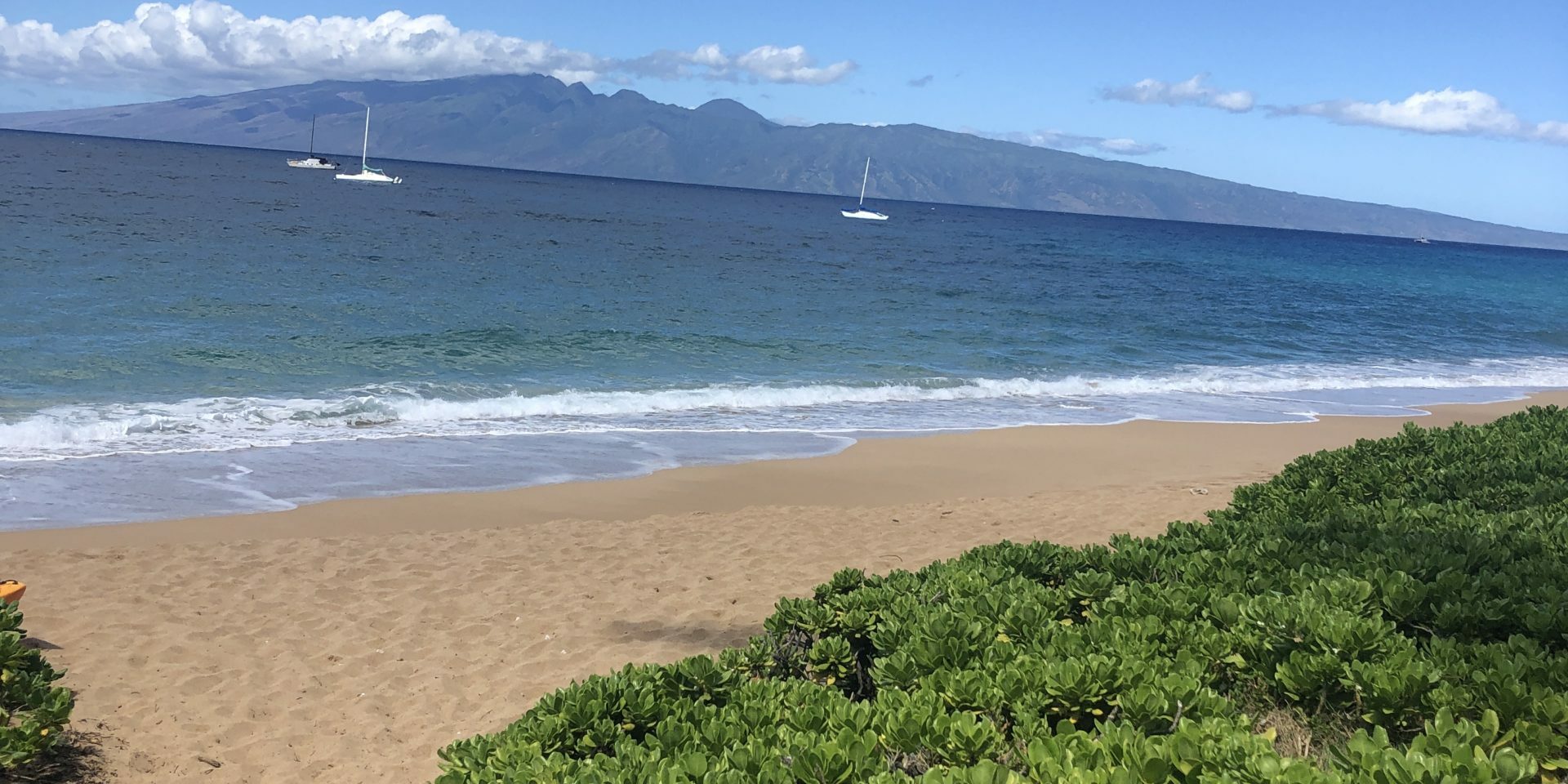 Royal Lahaina Beach Bar Views